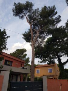 Dans le secteur de Martigues