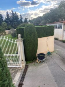 Réalisation d’une taille de haie cyprès à Marignane.