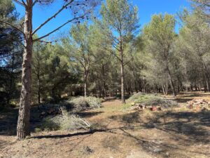 Obligation légale de débroussaillement sur un terrain d’un hectare à Martigues