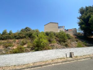 Chantier de débroussaillage avant-après à Martigues