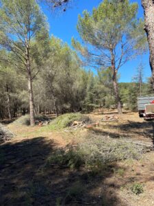Obligation légale de débroussaillement sur un terrain d’un hectare à Martigues
