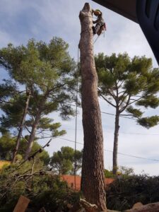 Dans le secteur de Martigues