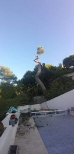 Abattage – Atout’arbres – St Mitres les Remparts