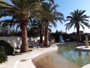 Entretien de jardin – Atout’arbres – St Mitres les Remparts
