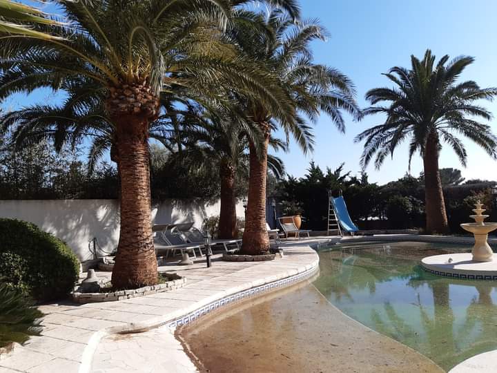 Entretien de jardin - Atout'arbres - St Mitres les Remparts