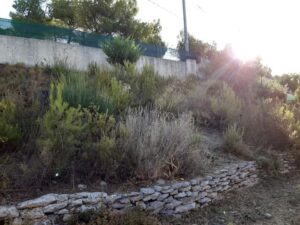 Débroussaillage – Atout’arbres – St Mitres les Remparts