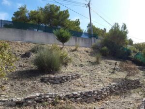 Débroussaillage – Atout’arbres – St Mitres les Remparts