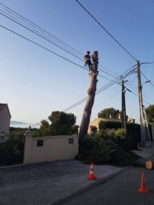 Abattage – Atout’arbres – St Mitres les Remparts