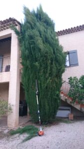 Entretien de jardin – Atout’arbres – St Mitres les Remparts