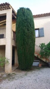 Entretien de jardin – Atout’arbres – St Mitres les Remparts