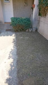 Entretien de jardin – Atout’arbres – St Mitres les Remparts