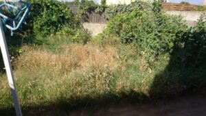 Débroussaillage – Atout’arbres – St Mitres les Remparts