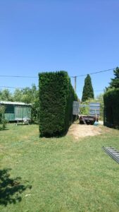 Entretien de jardin – Atout’arbres – St Mitres les Remparts