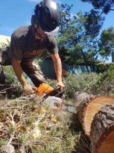 Abattage – Atout’arbres – St Mitres les Remparts