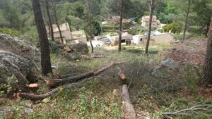 Débroussaillage – Atout’arbres – St Mitres les Remparts