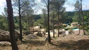 Débroussaillage – Atout’arbres – St Mitres les Remparts