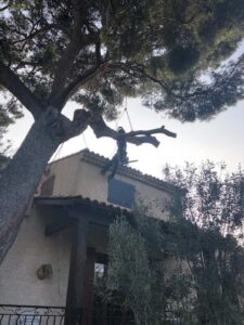 Abattage – Atout’arbres – St Mitres les Remparts
