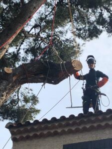 Abattage – Atout’arbres – St Mitres les Remparts