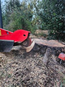 Rognage de souches sur la commune de St Mitre les Remparts