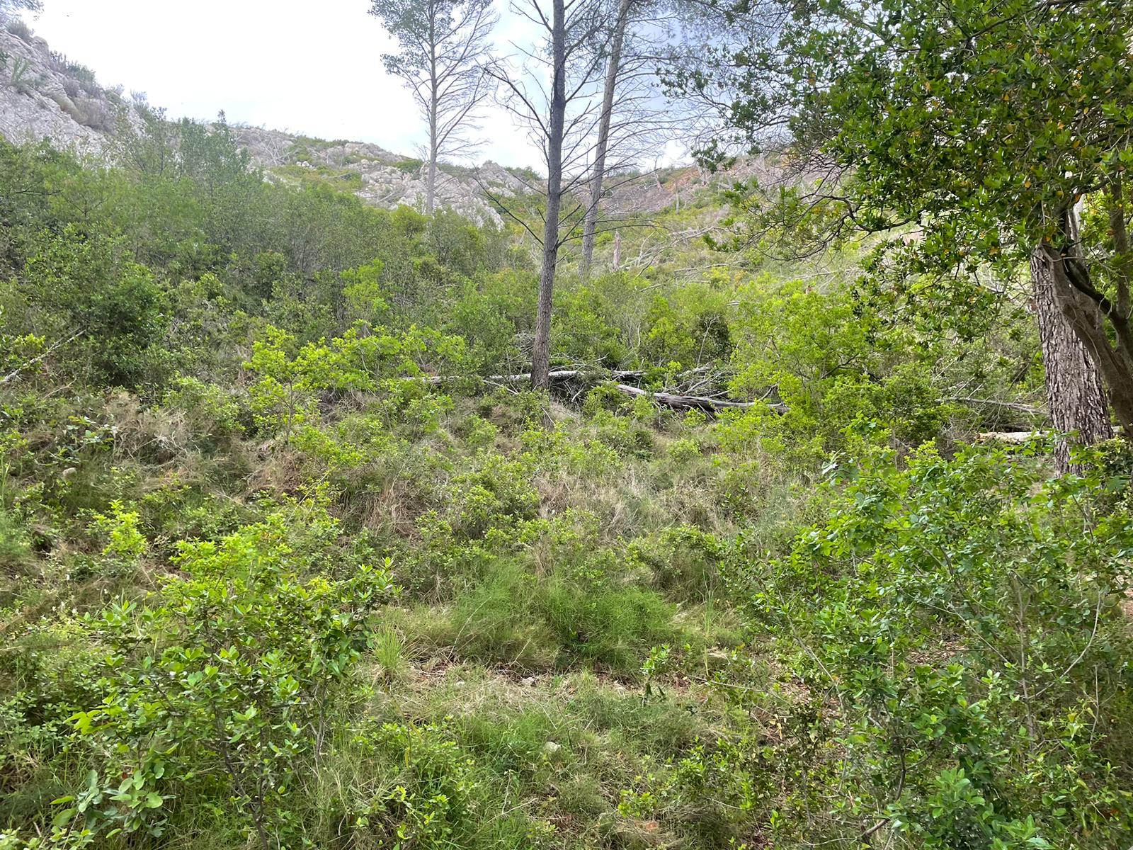 image_123650291 (17)