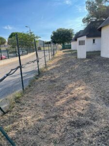 Abattage et rognage d’une haie de Cyprès à Fos sur mer