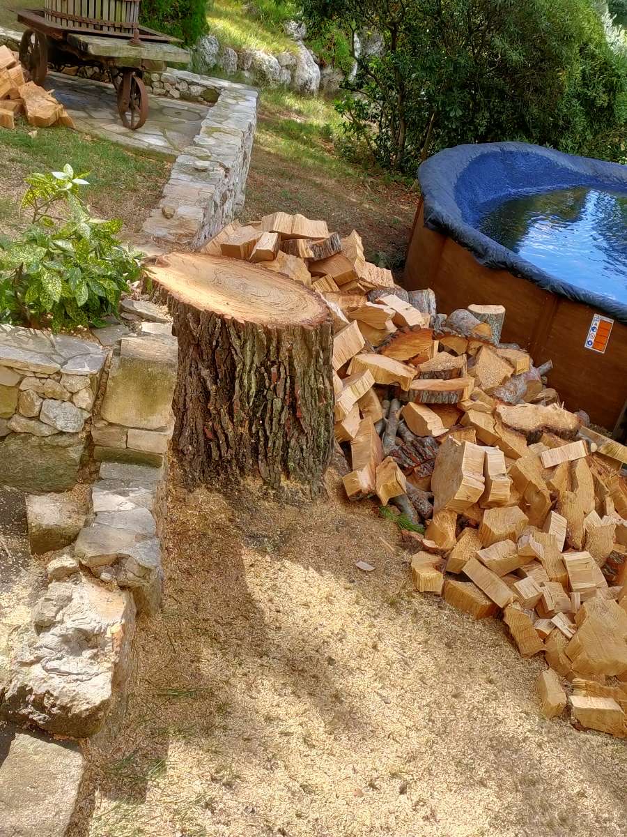 L'abattage d’un Pin à St Mitre les Remparts