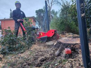 Rognage de souches sur la commune de St Mitre les Remparts