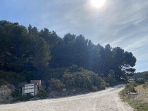 Gros débroussaillage et abattage de Pins à Martigues