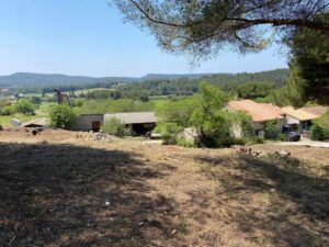 Gros débroussaillage et abattage de Pins à Martigues