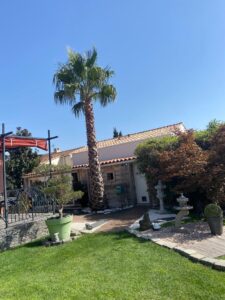 Abattage de 3 palmiers – Fos-sur-Mer