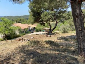 Gros débroussaillage et abattage de Pins à Martigues