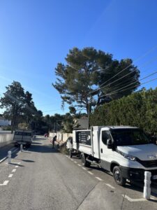 Elagage d’arbres à Carry
