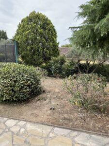 Remise en état d’un jardin à Martigues