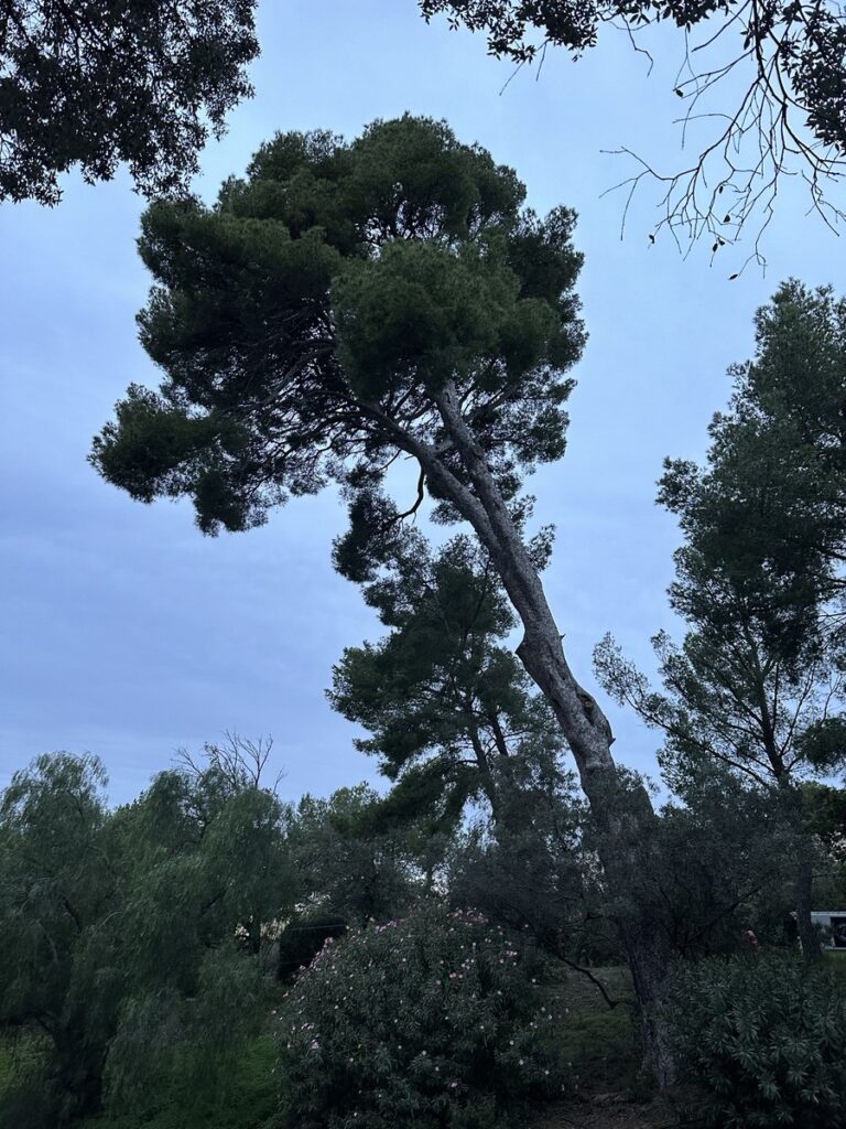 Après