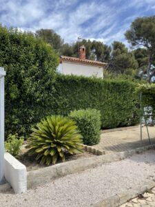 Entretient de jardin à Sausset-les-Pins