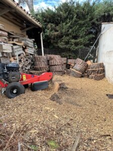 Chantier d’abattage d’un Pin Parasol et rognage de sa souche