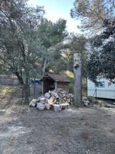 Abbattage d’un pin sur la commune de St Mitre les Remparts