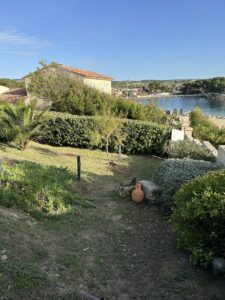 Remise en État d’un Jardin à La Couronne