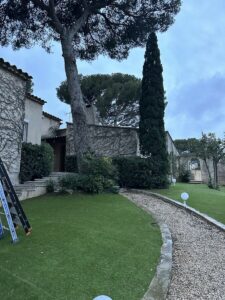  L’élagage d’un pin à Martigues – Une intervention réussie par Atout’Arbres