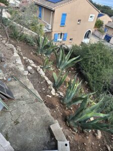 Élagage d’un petit pin et entretien de colline à Martigues