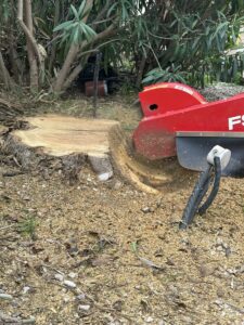 Rognage de souches à Carry-le-Rouet